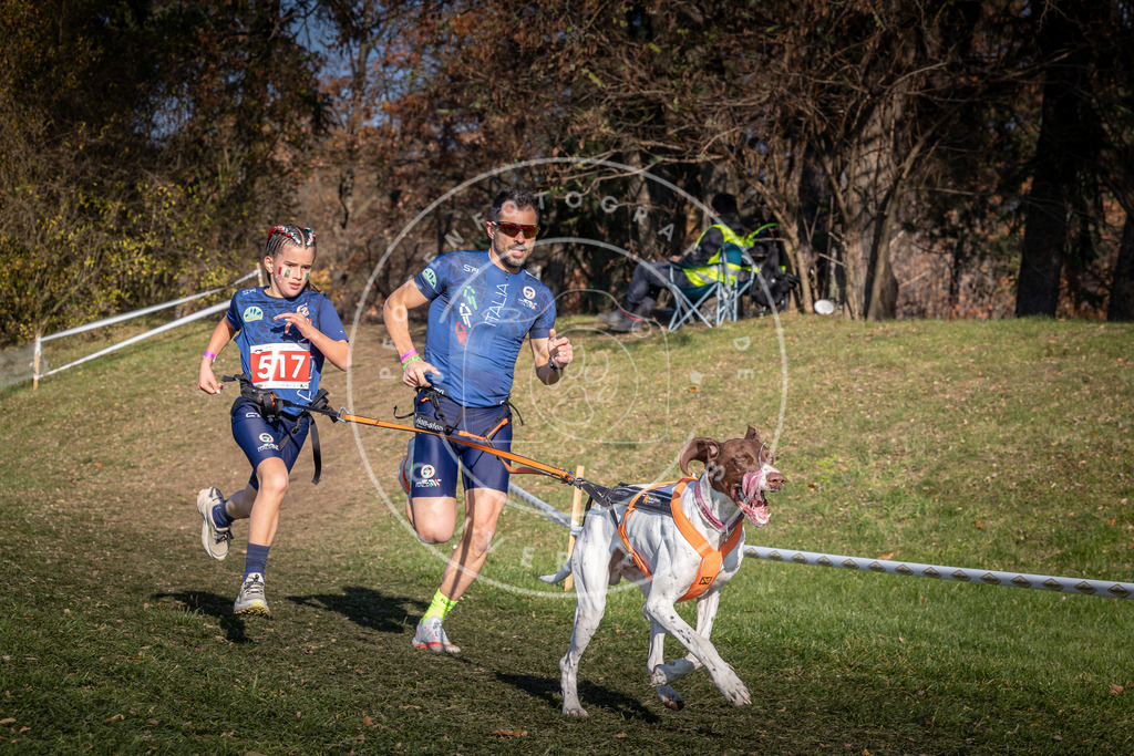 CaniXpix_0L8A8535 | Hundefotografie, Tierfotograf, Pfotenfotografie, Fotoshooting Hund, Hunde Portrait, Hundesport, Hundeportraits, Heideshooting, Hunde, Sportfotograf, Hundefotograf, Turnierhundsport, THS,  - Realisiert mit Pictrs.com