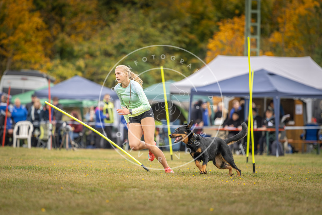 Pfotenfotografie_DV3A4151 | Hundefotografie, Tierfotograf, Pfotenfotografie, Fotoshooting Hund, Hunde Portrait, Hundesport, Hundeportraits, Heideshooting, Hunde, Sportfotograf, Hundefotograf, Turnierhundsport, THS,  - Realisiert mit Pictrs.com