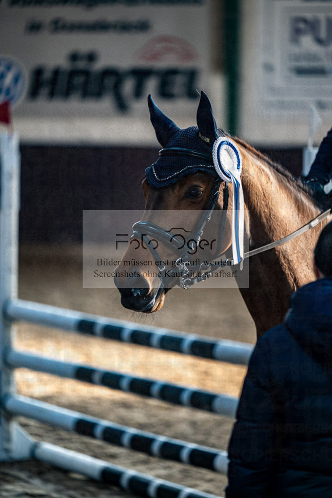 20240308-DOS_2770 | Entdecke hochwertige Reitturnierfotos von Foto Oger. Professionell, emotional und authentisch – jetzt Lieblingsmomente im Shop bestellen.Deutschlandweite Turnierfotografie. - Realisiert mit Pictrs.com