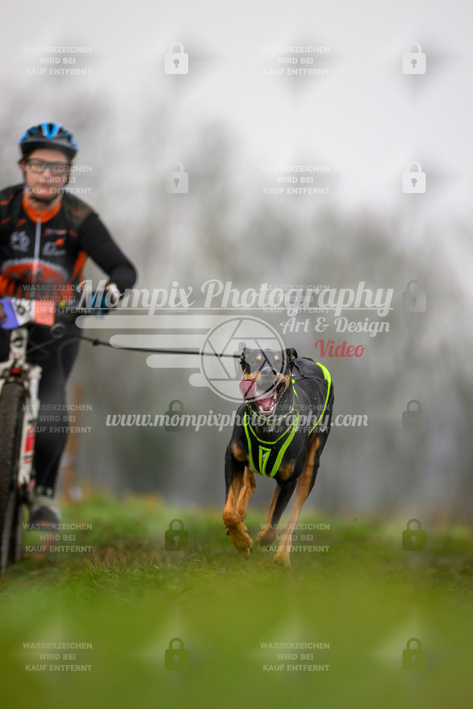 MompixPhotography_CDF2023_FFST_Di_Bike1-116 | PayLife