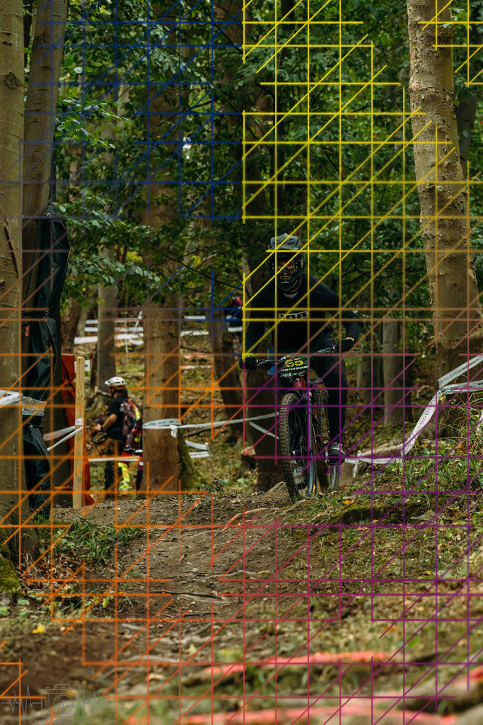 PAE-0255 | Einzigartige Fotokunst für dein Zuhause: Entdecke hochwertige Wandbilder, edle Prints und emotionale Motive von Wildlife, Natur und Landschaften - Realisiert mit Pictrs.com