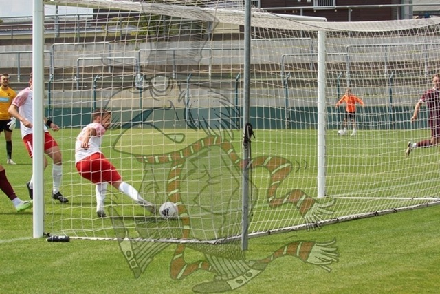 BFC Dynamo vs. SV Lichtenbger 47 046 | mythos-online-redaktion