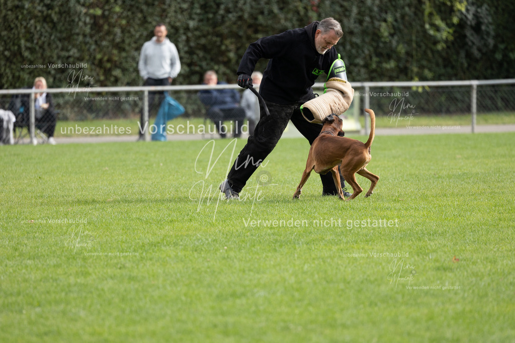 _16A7065 | Einzigartige Fotos von Hunden & Menschen –Actionfotos, Portraits, Vereinsaufnahmen & Paarshootings – authentisch, lebendig & mit Herz.