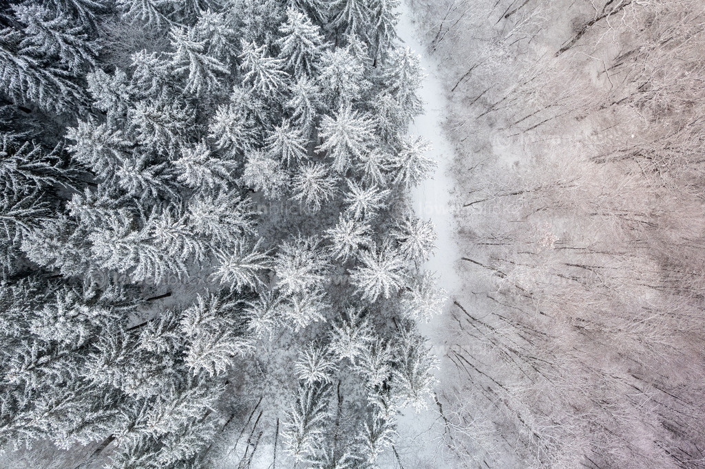 Wald von oben bei Geislingen | löwenblicke | shop