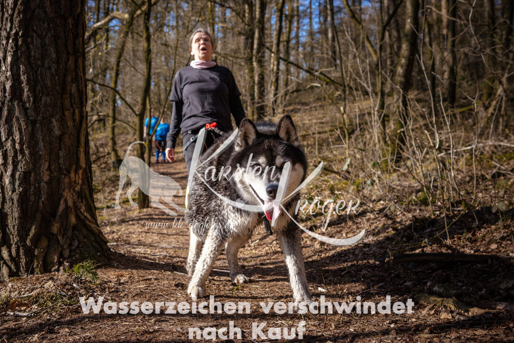 0928_ZZ98135 | kk-dogfotos