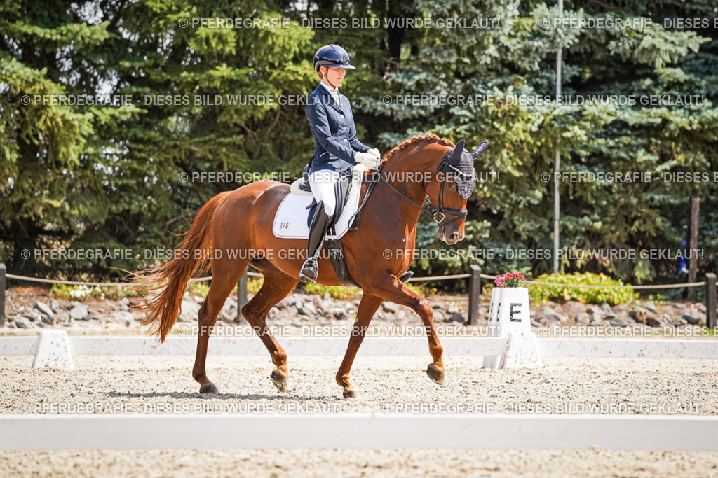 DSC00976 | Pferdegrafie