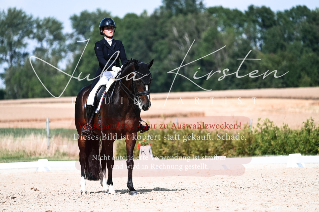 DSC_3343 | Pferde- und Turnierfotografie in Westsachsen. Pferdeportraits, Auftragszeichnungen und intuitive Kunst.
