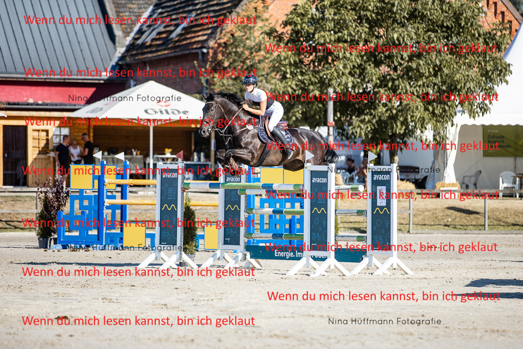 BK1A8598 | Turnierbilder Turnierfotos Nina Hüffmann Turnierfotografie Pferdefotografie Tierzeichnung Haustierzeichnung Pferdezeichnung Hundezeichnung Videograf  - Realisiert mit Pictrs.com