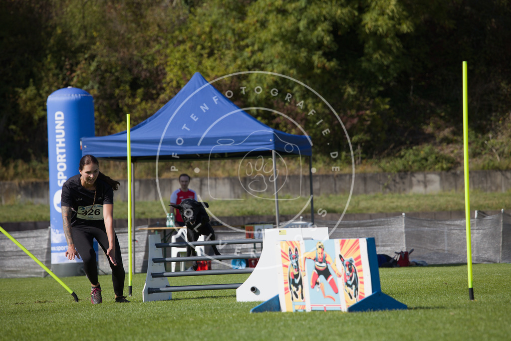 0L8A8599 | Hundefotografie, Tierfotograf, Pfotenfotografie, Fotoshooting Hund, Hunde Portrait, Hundesport, Hundeportraits, Heideshooting, Hunde, Sportfotograf, Hundefotograf, Turnierhundsport, THS,  - Realisiert mit Pictrs.com