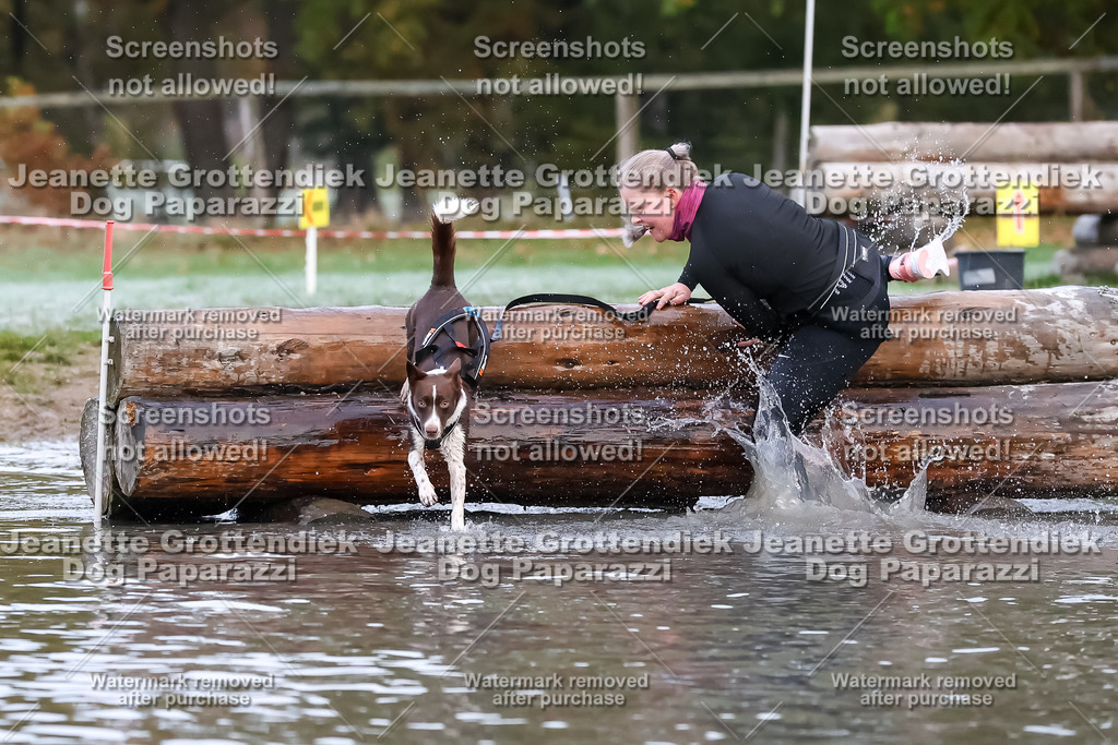 Dog Paparazzi - Strongdog 10-25-6229 | Dog Paparazzi Jeanette Grottendiek Fotografie & Videografie - Realisiert mit Pictrs.com