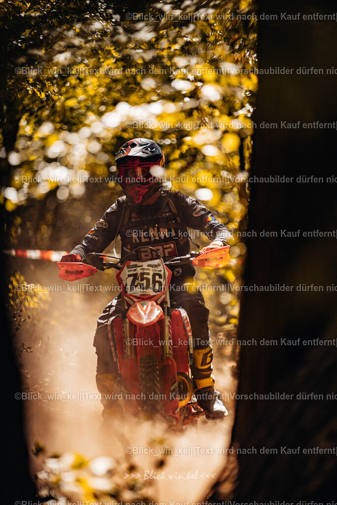 E68A5949 | blick_win_kel