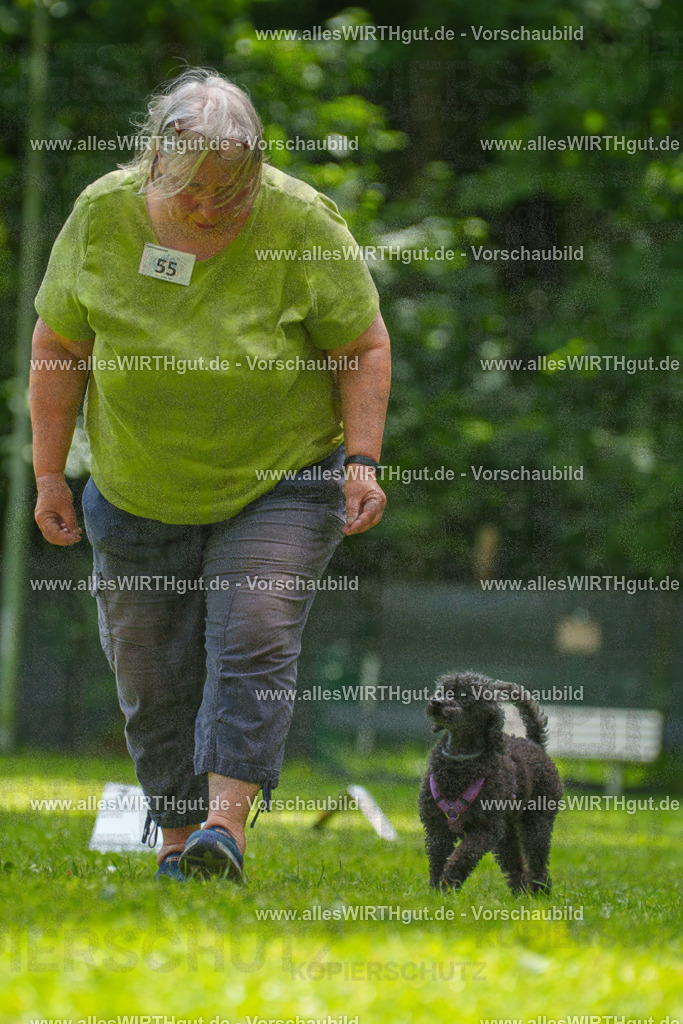 @allesWIRTHgut_Tierfotografie - www.allesWIRTHgut.de - 7R501035 | Professionelle Tierfotografie in Mönchengladbach von Daniel Wirth (allesWIRTHgut). Liebevolle & natürliche Bilder von Hunden & Katzen für unvergessliche Erinnerungen.