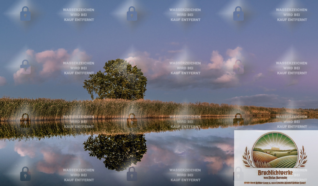 Spiegeln, Spiegeln | Professioneller Fotograf mit 10 Jahren Erfahrung. Landschafts- und Hochzeitsfotografie im Oderbruch. Workshops und beeindruckende Bilder für besondere Momente.