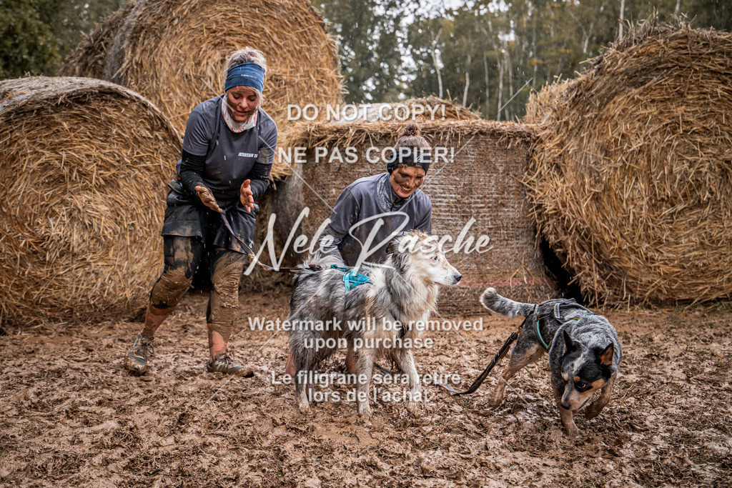 nelerasche_Hunsrück_So09-11_107 | nelerasche