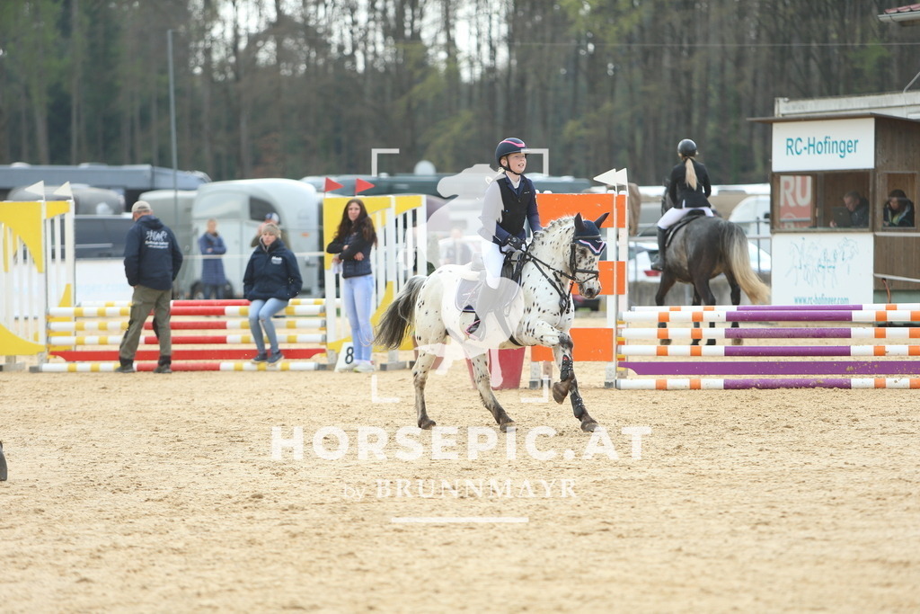 DL2Q2362 | Willkommen bei Brunnmayr - Design & Fotografie – Ihrem Spezialisten für Reitturniere und Pferdeveranstaltungen in Oberösterreich, Salzburg und Bayern! Seit über 17 Jahren sind wir leidenschaftlich dabei.