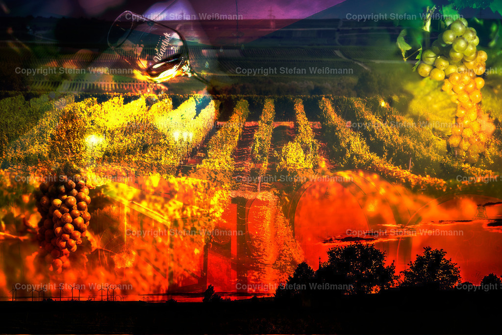 Worms und der Wein | Worms ist eine der größten Weinbau betreibenden Städt Deutschlands, Wein ist Gegenwärtig - Realisiert mit Pictrs.com