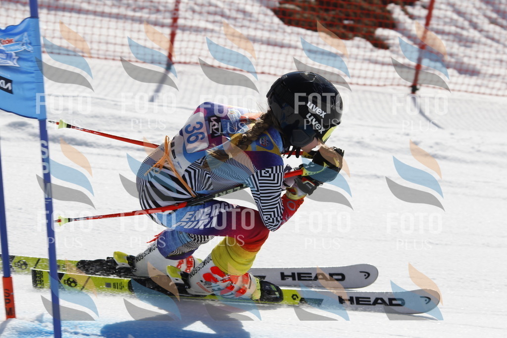 _U3G9162 | holidayphoto