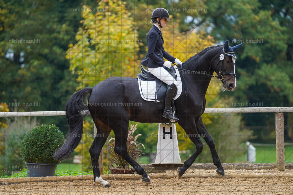 20221008-FAH01960 | Diessen am Ammersee, 2022, Dressur- und Springturnier, Reitsportbilder, Turnierfotografen Bayern, Pferdefotografen, Fotoagentur Herrmann, Turnierbilder