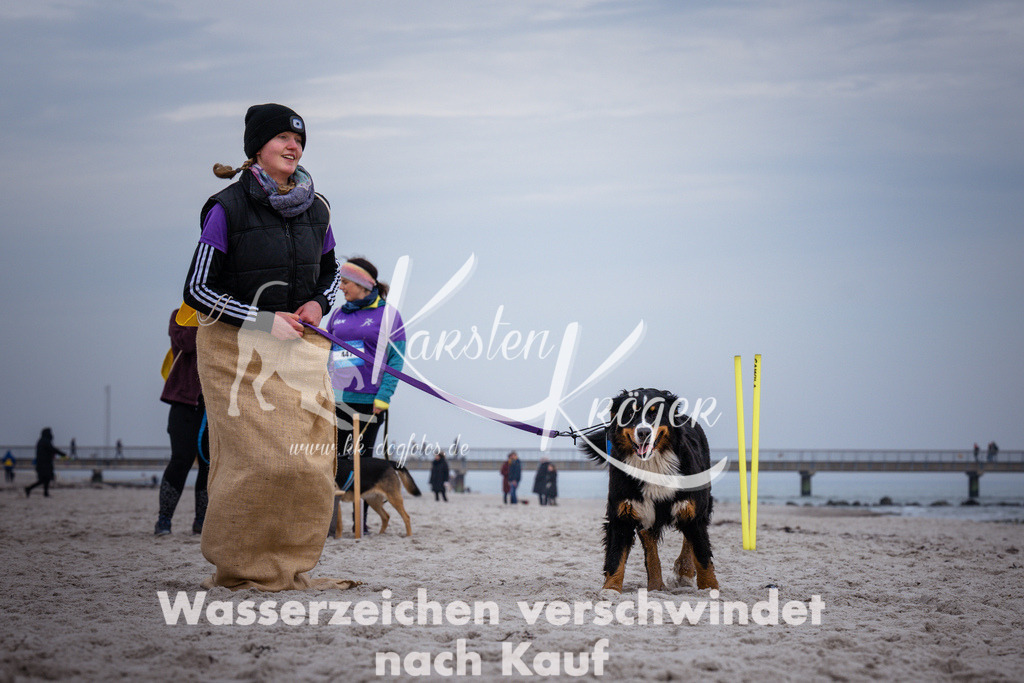 1221_ZZ93713 | kk-dogfotos