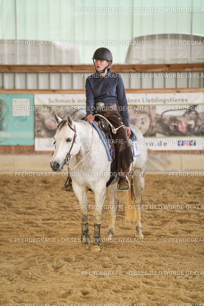 DSC08952 | Pferdegrafie