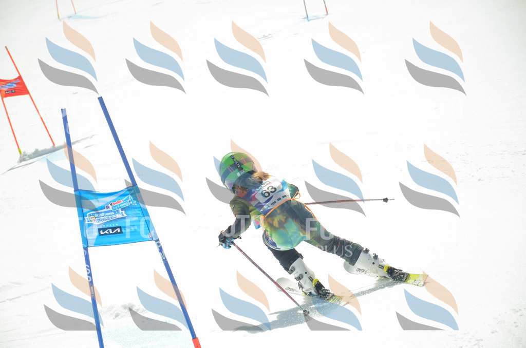 _ELE5353 | holidayphoto