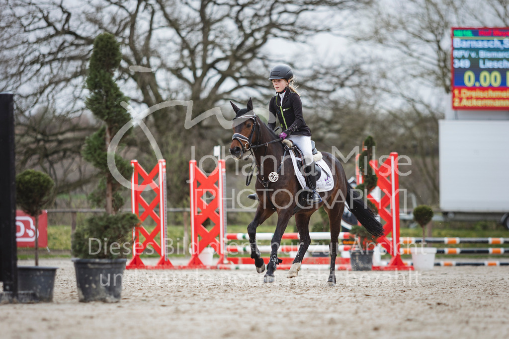 240330_Fruehlingsfest_Stilspring-WB-582 | Deine schönsten Turniermomente als professionelle Fotos! Entdecke hochwertige Pferdesport-Fotografie im Online-Shop. Jetzt Fotos finden & bestellen!