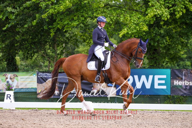 DKP41556 | Deine Turnierfotos vom Reitturnier online kaufen: Dressur, Springen & Siegerehrung. Professionelle Pferdefotografie aus dem Rheinland – als Download & Print.Alternative: Turnierfotograf für den Pferdesport: Finde deine Fotos von Dressur- und Springturnier