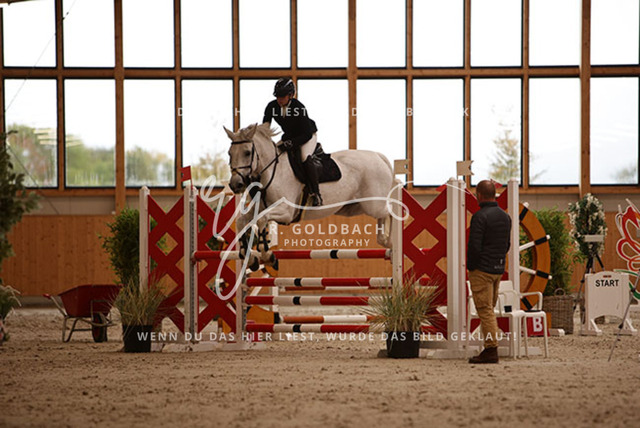 1J2A3107Johanna Dobner_ Caramella 20_ Kn066_ Hohen Wieschendorf_ Glantz | Foto- und Videografie für alles rund ums Pferd. Hochwertige Bilder und Videos vom Spring- und Dressurreiten, Voltigieren & mehr. Jetzt aktuelle Veranstaltungen und Preise im Shop ansehen. - Realisiert mit Pictrs.com