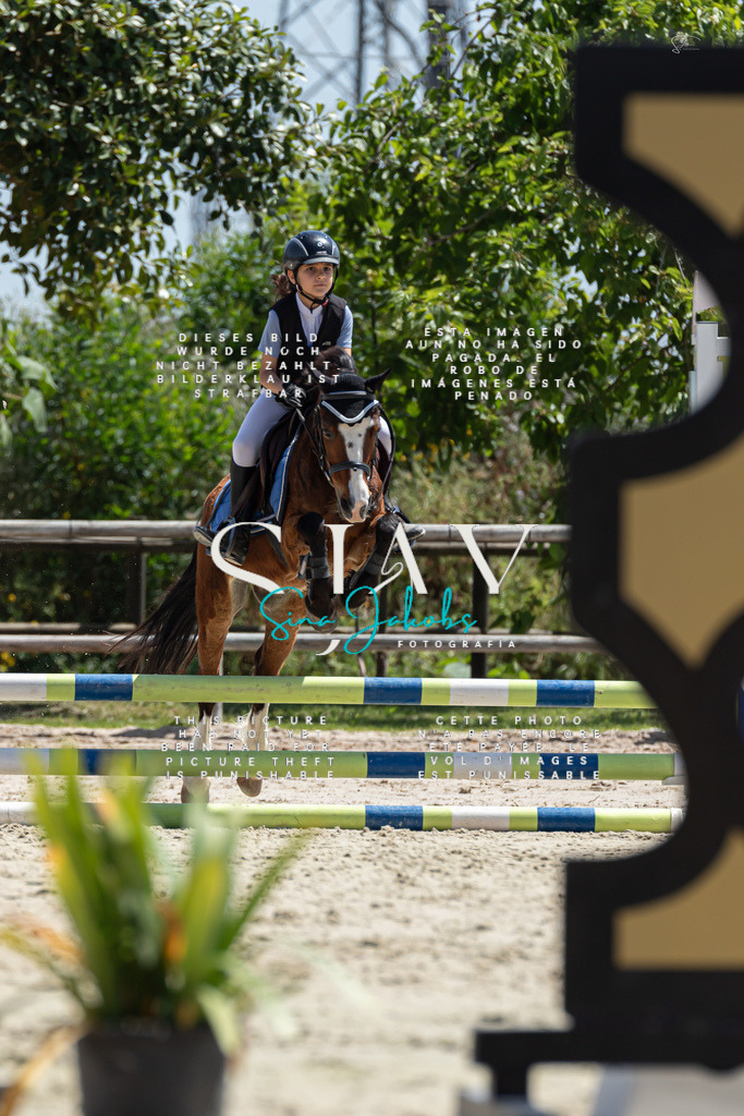 IMG_0236 | s-jay-photography - Realisiert mit Pictrs.com