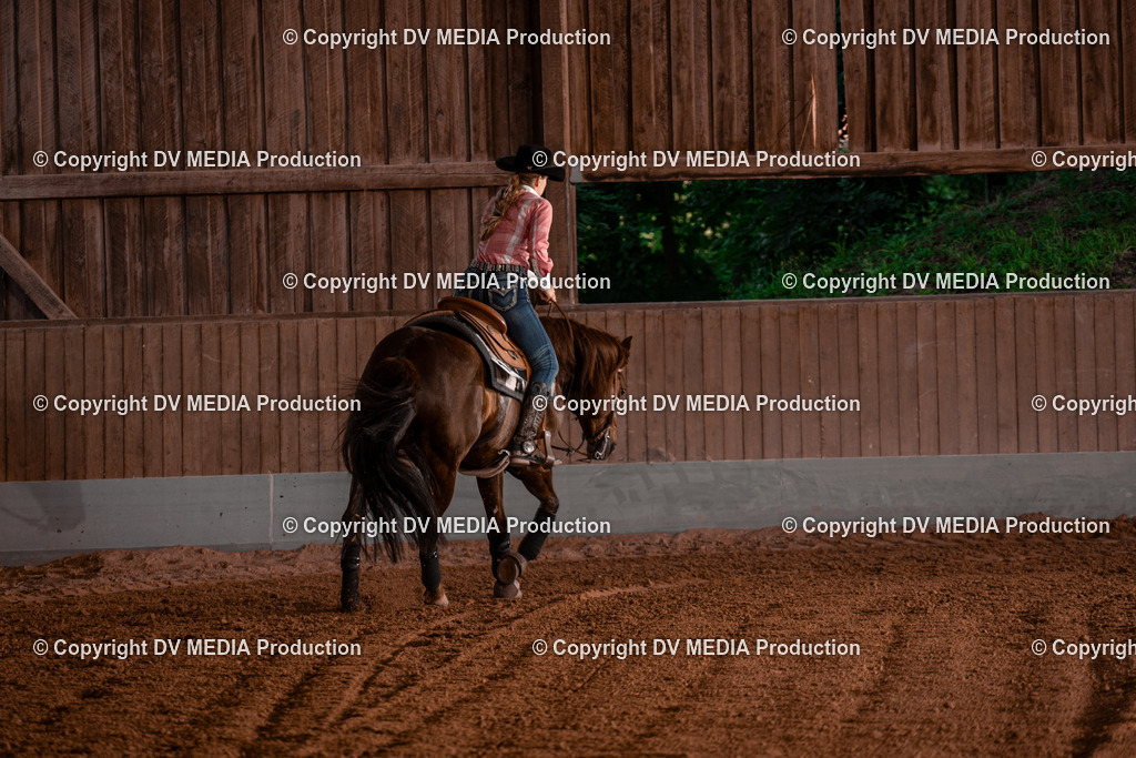 NE201414 | dv-media-shop - Realisiert mit Pictrs.com