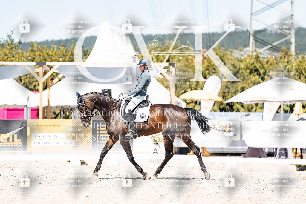 CK900149 | Turnierfotografie Pferdefotografie Trier Rheinland-Pfalz Pferdesport Reitsport Tierfotografie Sportfotografie Pferdevideo Pferdevideografie Equestrianvideography equestrianphotography  - Realisiert mit Pictrs.com