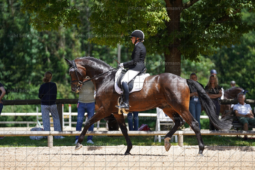 20240705-FAH03431 | Turnierbilder von Grafing, Reitsportbilder, Turnierfotos, Turnierfotografen Bayern, Pferdefotograf, Fotoagentur Herrmann