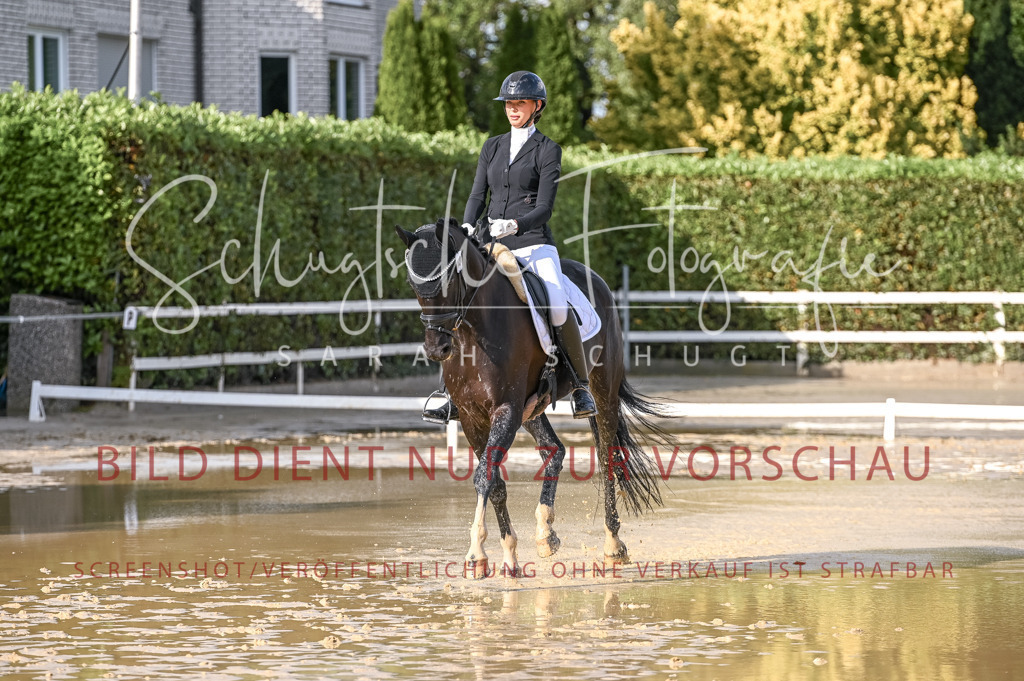 Schugtsche-Aluta25-54.Dressurprf.L1Trense-192 | Schugtsche Fotografie - Realisiert mit Pictrs.com