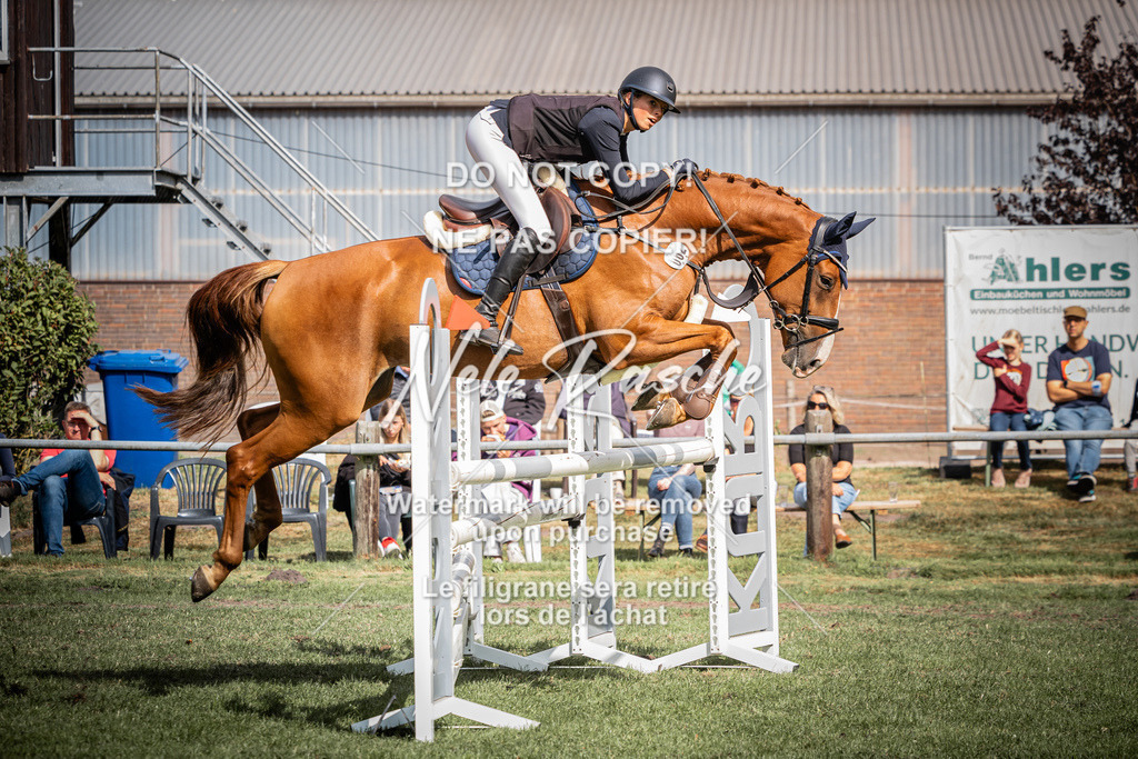 nelerasche_SprL__110Ede_08 | nelerasche