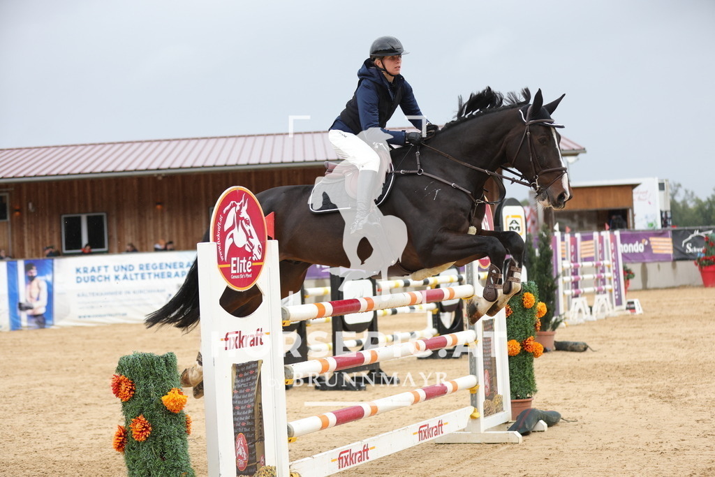 0P6A8717 | Willkommen bei Brunnmayr - Design & Fotografie – Ihrem Spezialisten für Reitturniere und Pferdeveranstaltungen in Oberösterreich, Salzburg und Bayern! Seit über 17 Jahren sind wir leidenschaftlich dabei.