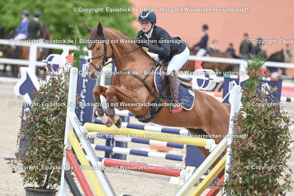 20230514_CCI4_Springen_0046 | equistock