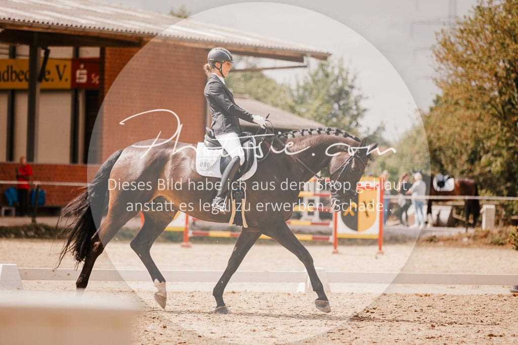 3I6A6112 | Stimmungsvolle Portraits und Reitsportfotografie im Ruhrgebiet und im Münsterland.

Pferdefotografie, Hundefotografie, Tierfotografie, Reportagen, Portraits von Tier und Mensch, Turnierfotografie in Bochum, Recklinghausen, Marl, Haltern am See, Dülmen.. - Realisiert mit Pictrs.com