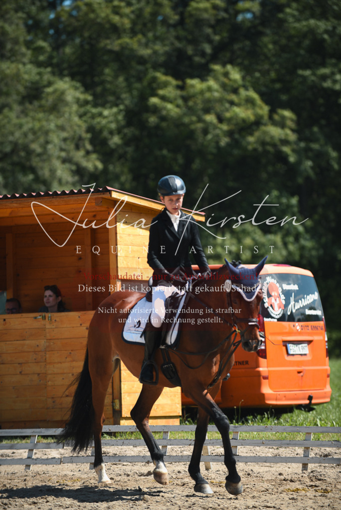 DSC_2254 | Pferde- und Turnierfotografie in Westsachsen. Pferdeportraits, Auftragszeichnungen und intuitive Kunst.