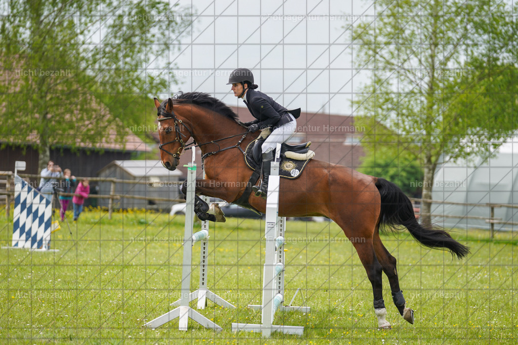 20230520-FAH05206 | Frühjahrsturnier, Landsberg am Lech, 2023, Reitclub Landsberg, Turnierbilder, Fotos Turnier Landsberg, Fotoagentur Herrmann, Turnierfotografen Bayern, Reitsport Fotograf, Pferde Fotograf