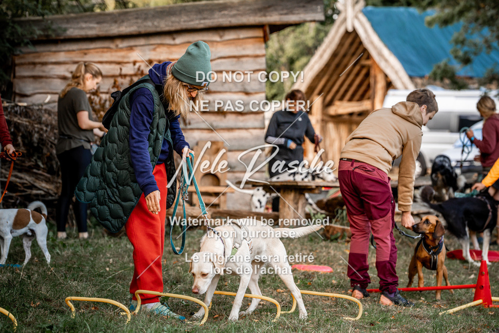 nelerasche_slaw24Sa_50 | nelerasche