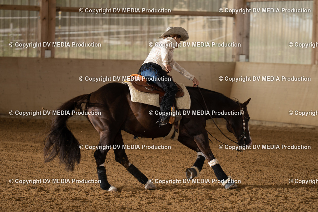 LAU01538 | dv-media-shop - Realisiert mit Pictrs.com