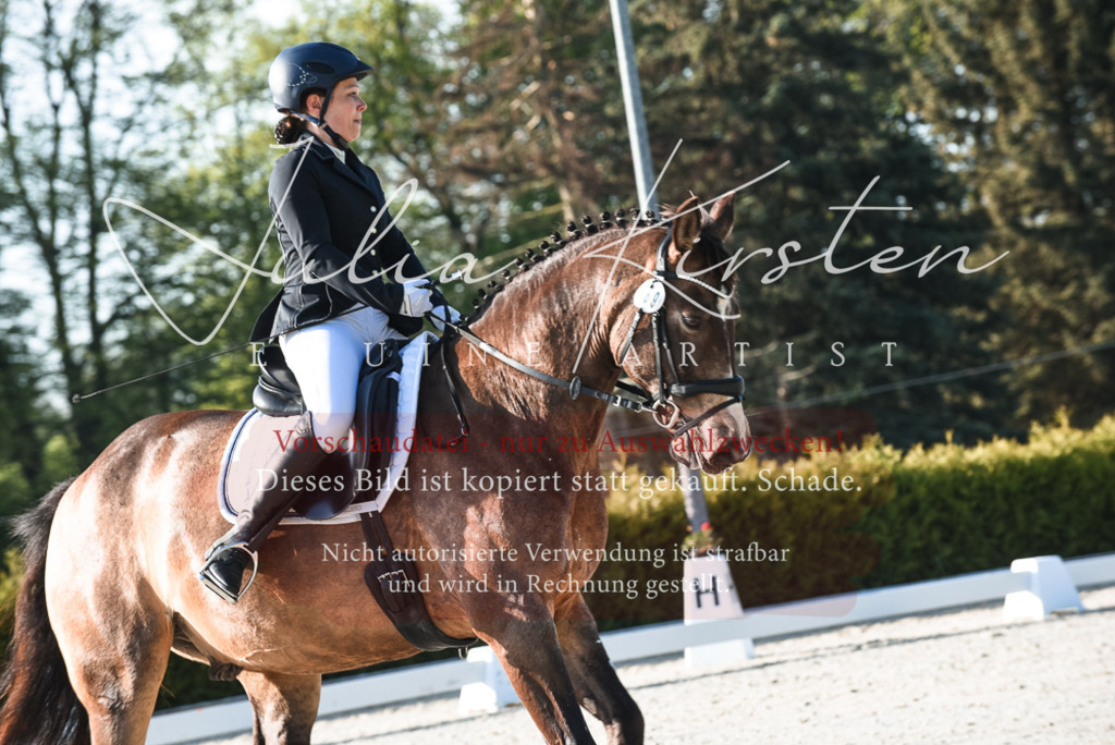 20230518_JK-Röhrsdorf-09-0055 | Pferde- und Turnierfotografie in Westsachsen. Pferdeportraits, Auftragszeichnungen und intuitive Kunst.