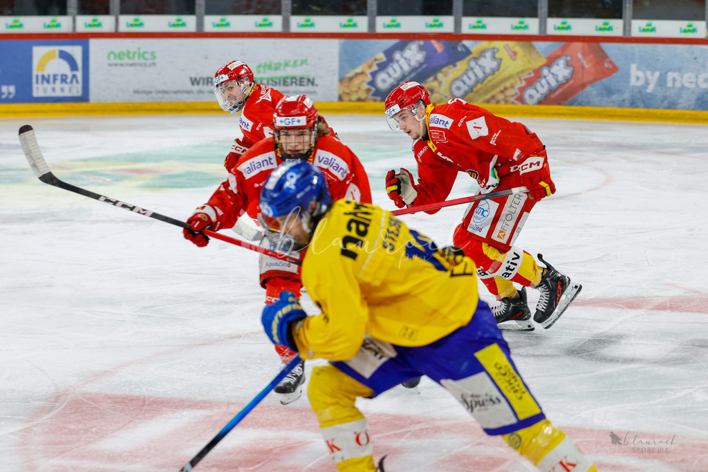U21_EHCB vs HCD_wb20260308-0167 | Sportbilder, Sportfotograf, Hochzeits- und Eventfotografin, Flugshows, Portraits und Tiershooting, Aviation, Downhill, Nationalleague, Swissleague, International