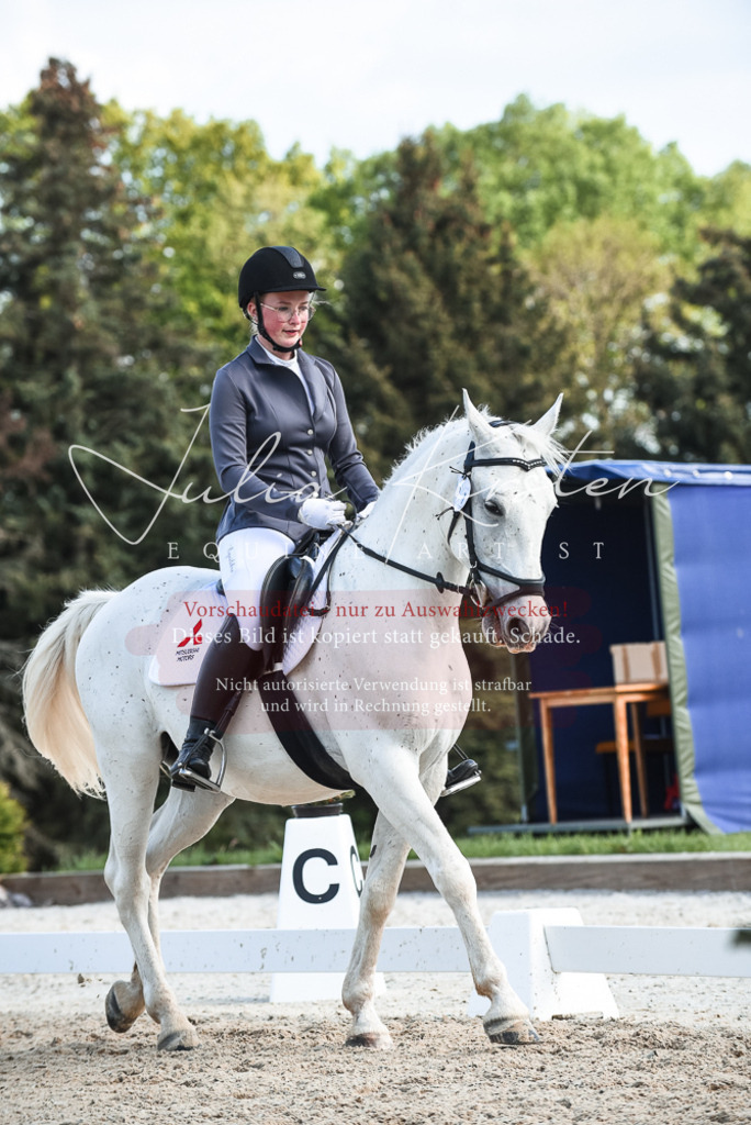 20230518_JK-Röhrsdorf-12-0803 | Pferde- und Turnierfotografie in Westsachsen. Pferdeportraits, Auftragszeichnungen und intuitive Kunst.