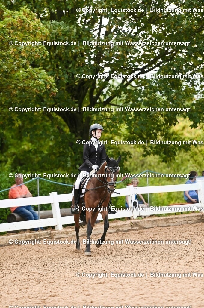 20230716_10-2_Reiter-WB Schritt - Trab - Galopp_0120 | equistock