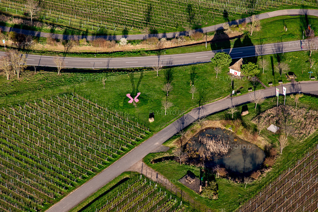 Luftbild: Bildhäusel im Frühjahr im Ortsteil SaintMartin in Sankt Martin im Bundesland Rheinland-Pfalz in Deutschland. Foto: IMG_140007.jpg vom 14.03.2024 durch Werner Riehm/FLY-FOTO.de