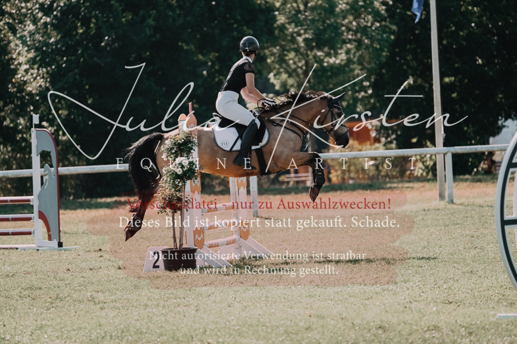 DSC_4840 | Pferde- und Turnierfotografie in Westsachsen. Pferdeportraits, Auftragszeichnungen und intuitive Kunst.