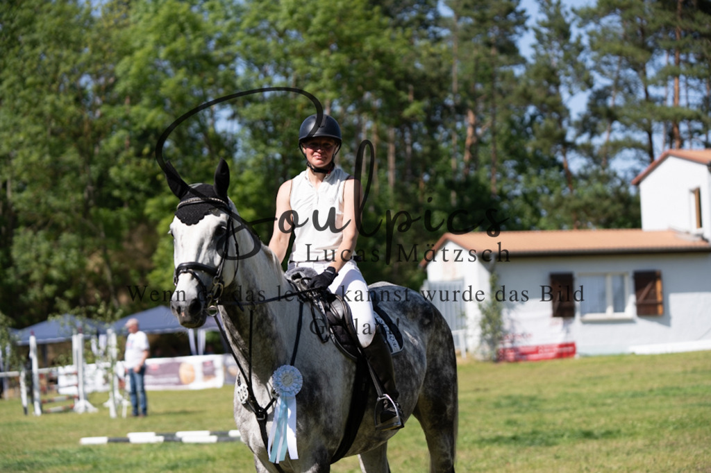 A7V06523 | Pferdefotograf