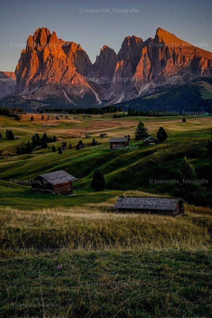 _DSC4916-01 | tuerschis_fotografie - Realisiert mit Pictrs.com