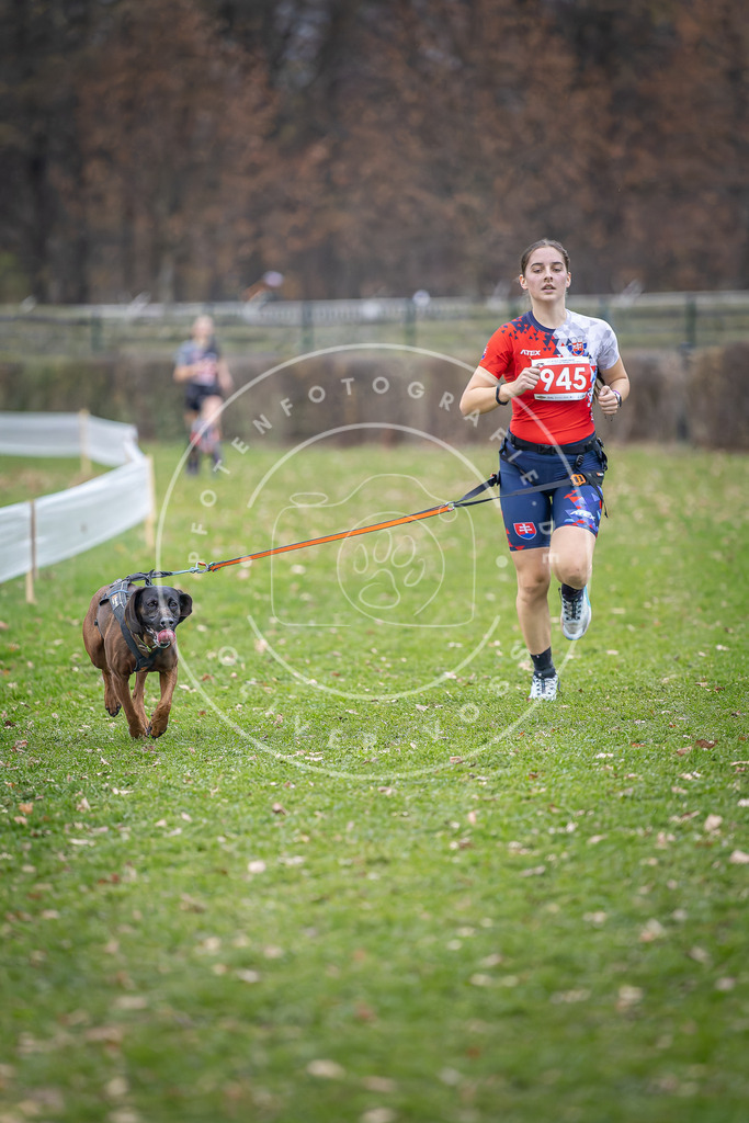 CaniXpix_DV3A7234 | Hundefotografie, Tierfotograf, Pfotenfotografie, Fotoshooting Hund, Hunde Portrait, Hundesport, Hundeportraits, Heideshooting, Hunde, Sportfotograf, Hundefotograf, Turnierhundsport, THS,  - Realisiert mit Pictrs.com